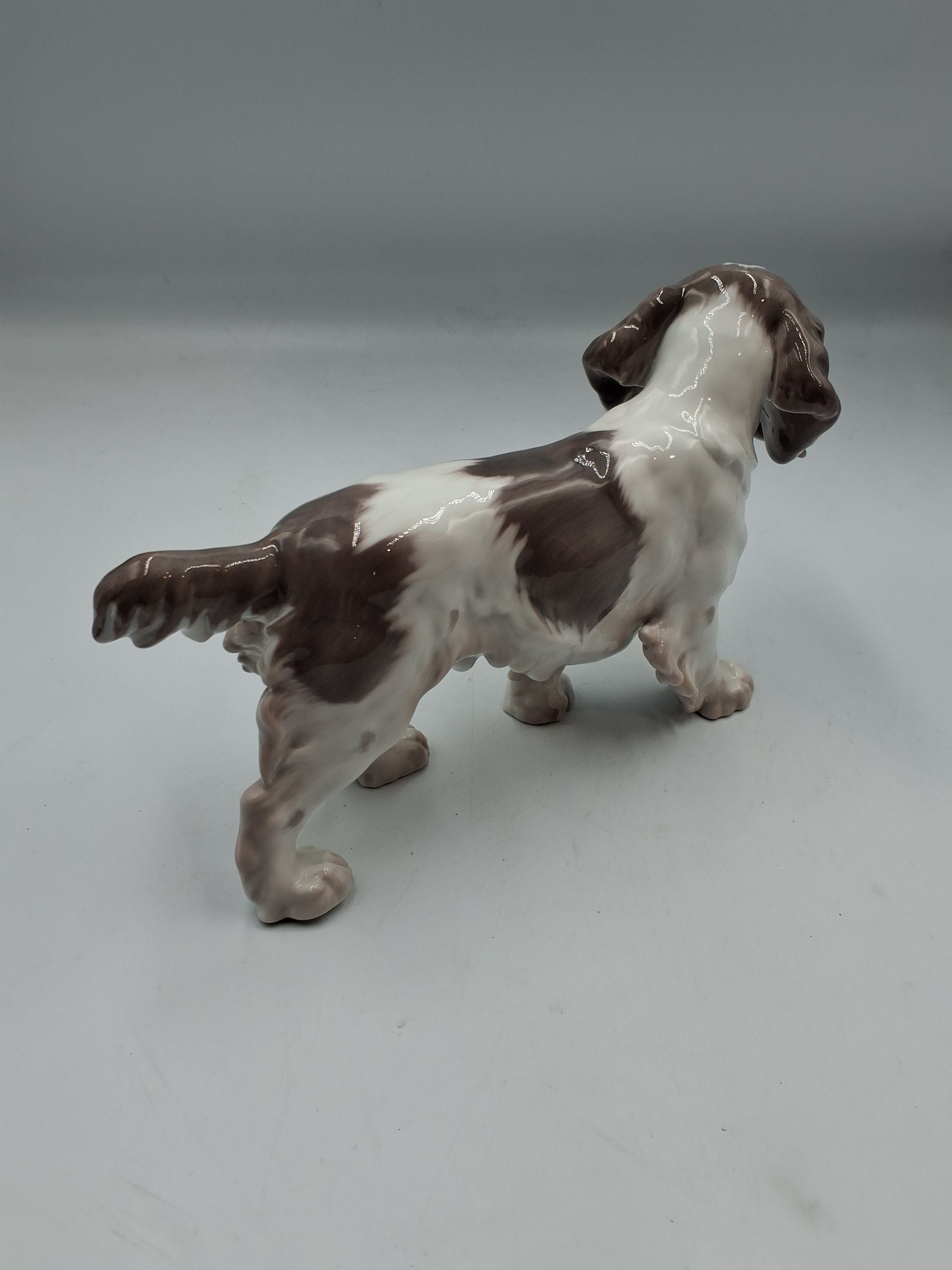 B&G Hund 2061